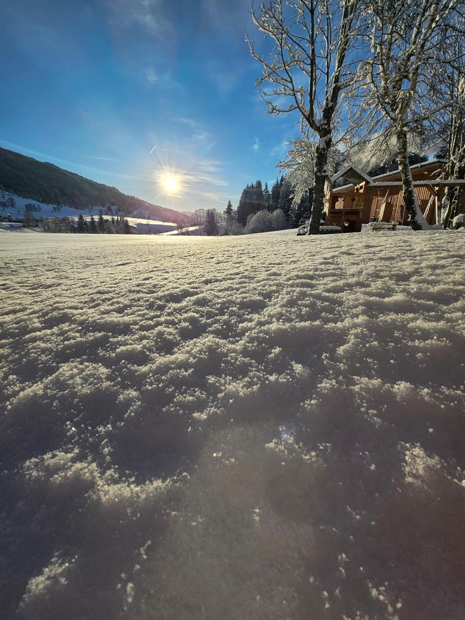 Landhotel Lacknerhof Mariapfarr Dış mekan fotoğraf