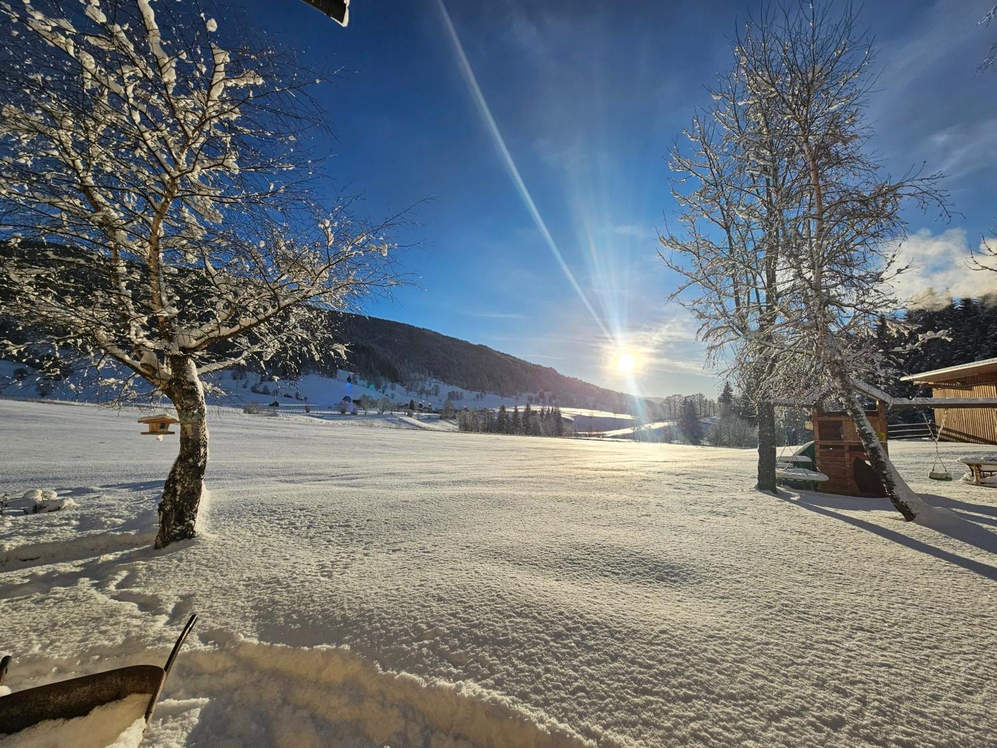 Landhotel Lacknerhof Mariapfarr Dış mekan fotoğraf
