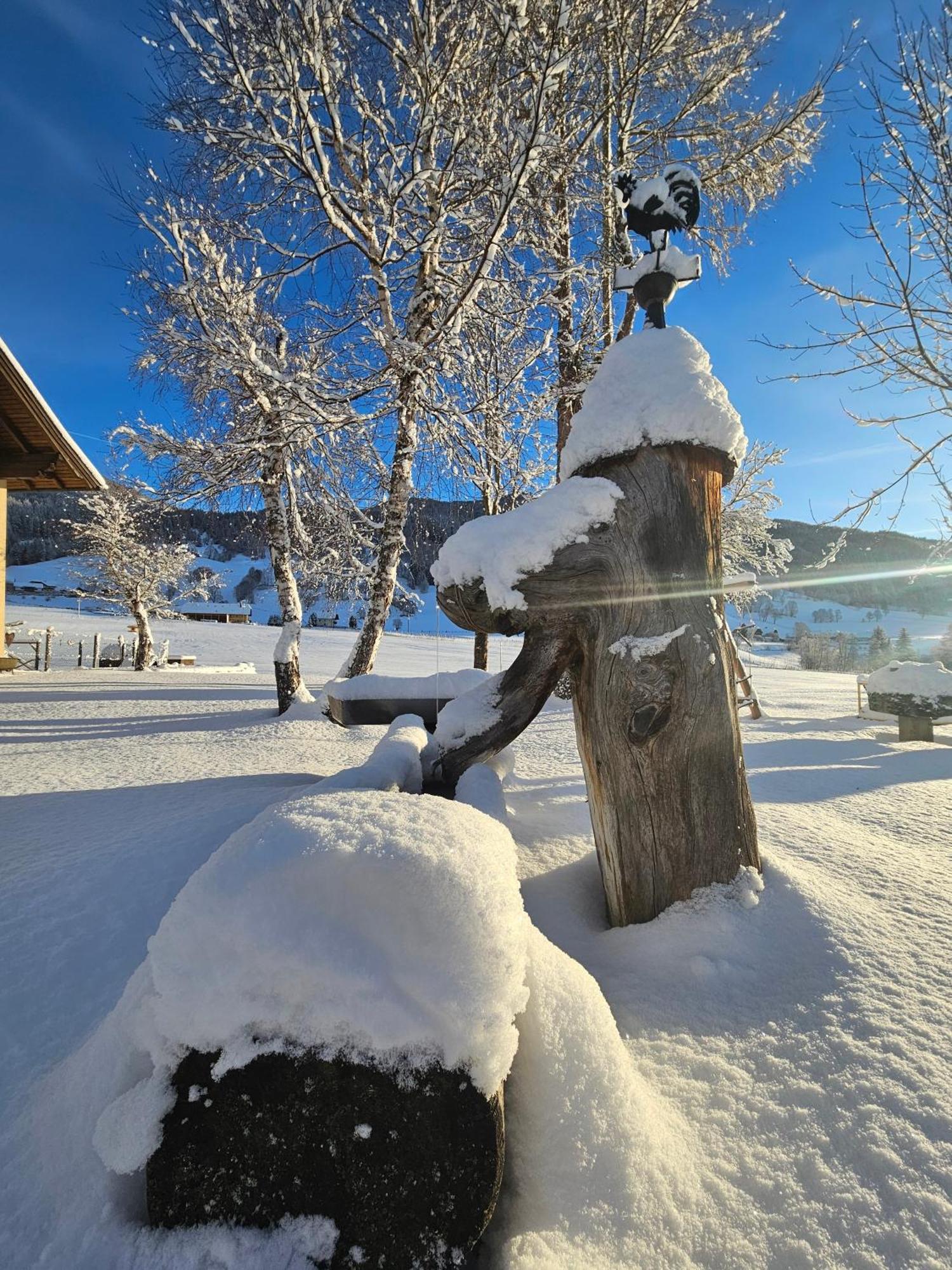 Landhotel Lacknerhof Mariapfarr Dış mekan fotoğraf